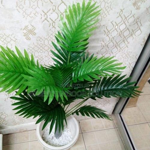 No Maintenance Required Palm Plant - main view