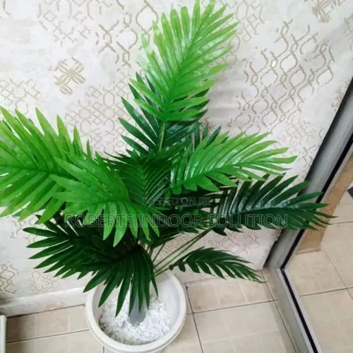No Maintenance Required Palm Plant