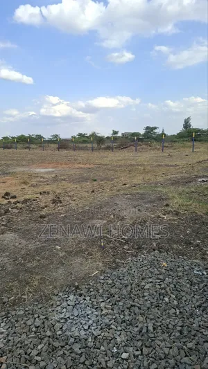 Launch on 4th Jr