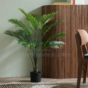 Classic-Looking Indoor Palm