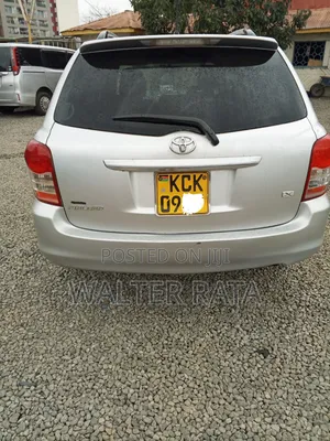 Toyota Corolla Fielder 2009 Silver