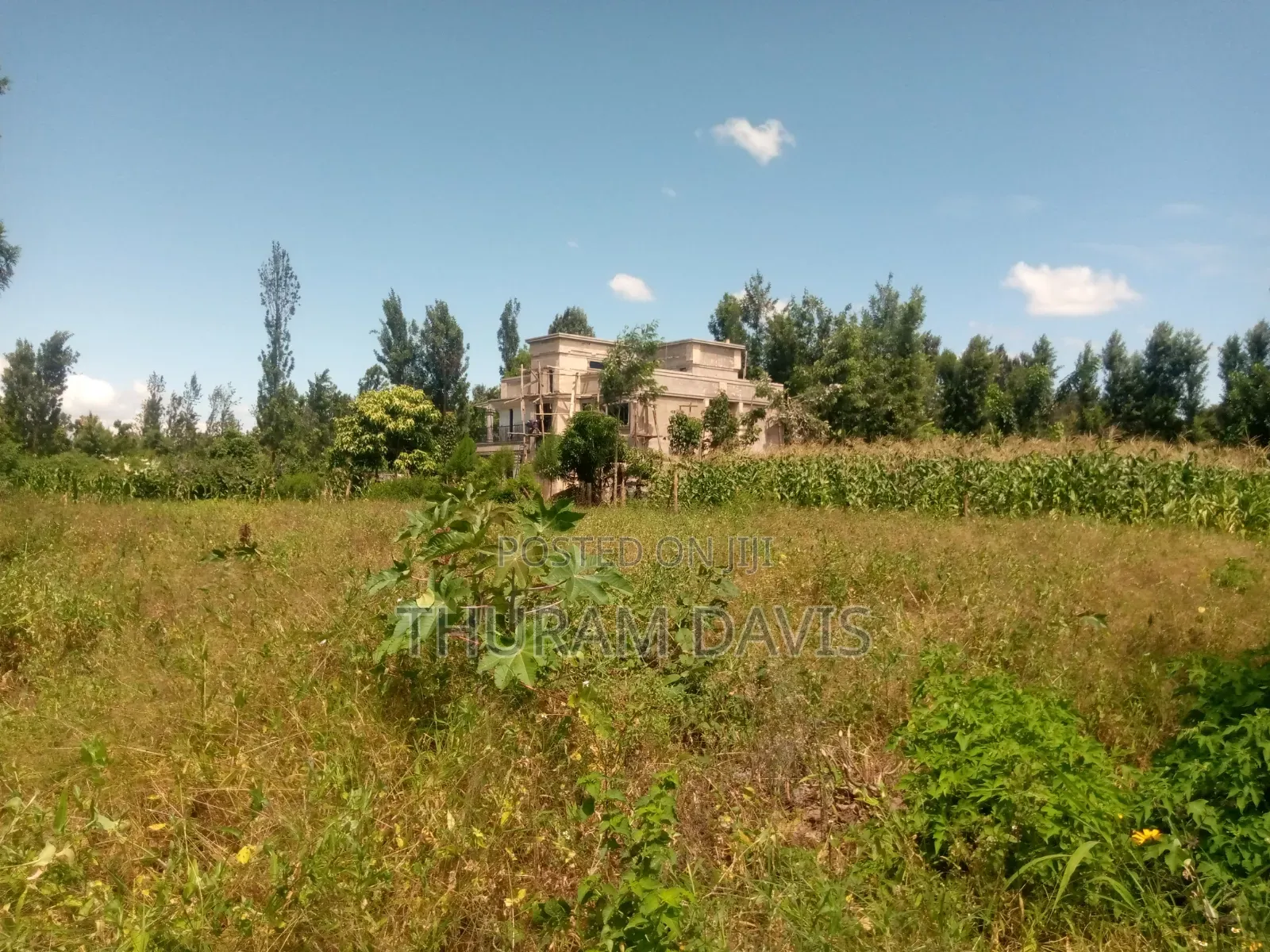 1/4 Acre Kithoka