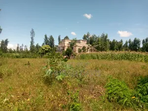 1/4 Acre Kithoka