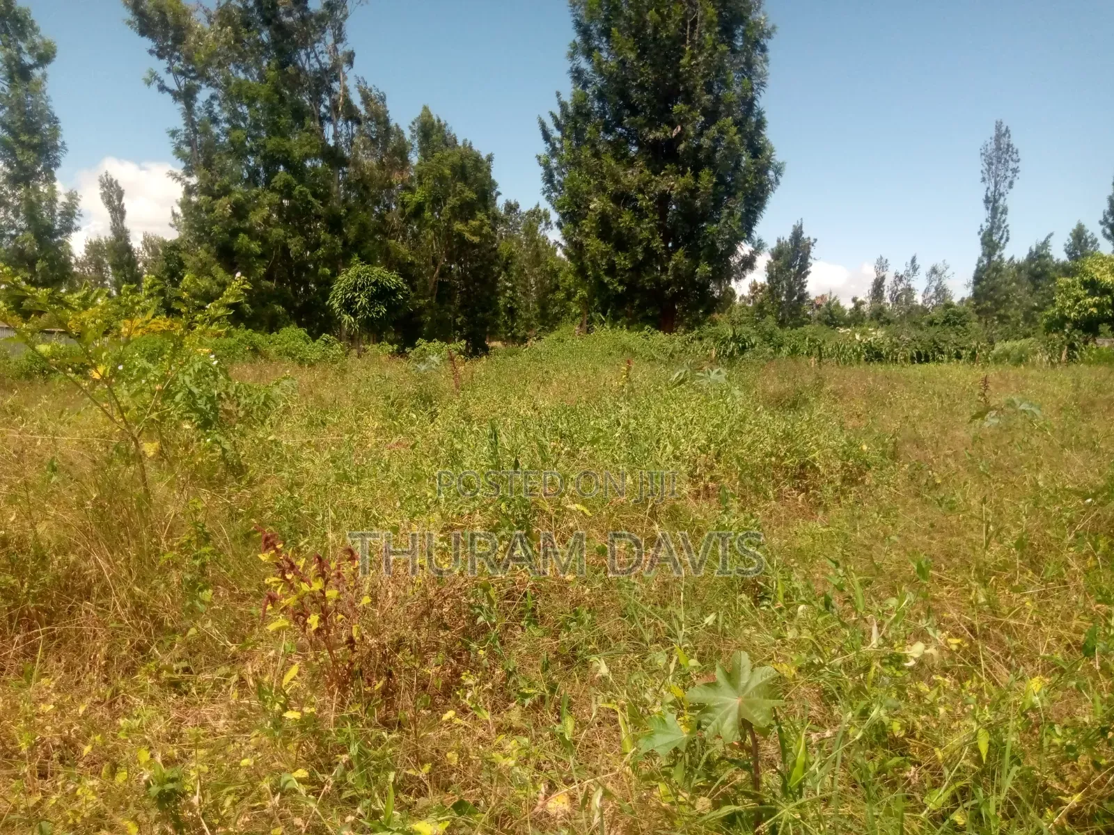 1/4 Acre Kithoka