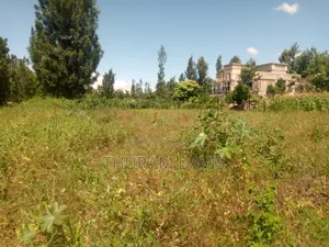 1/4 Acre Kithoka