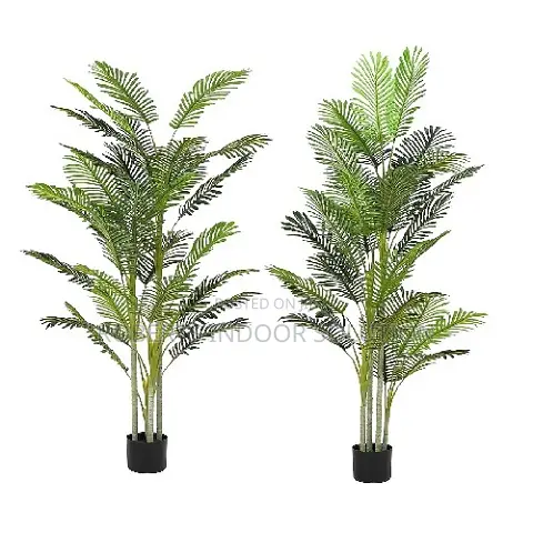 Premium Decor Palm Tree