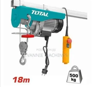 Top Quality Total Electric Hoist 500kgs