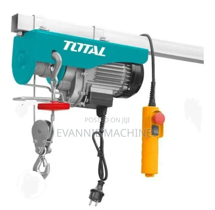 Top Quality Total Electric Hoist 500kgs