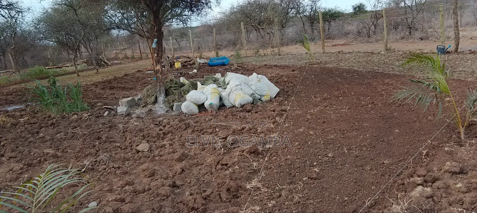 Gardening and Landscaping Services