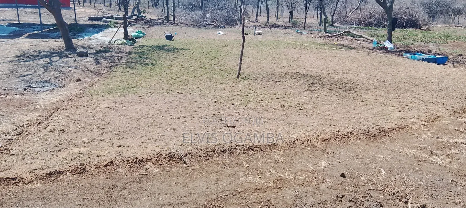 Gardening and Landscaping Services