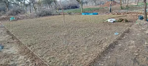 Gardening and Landscaping Services