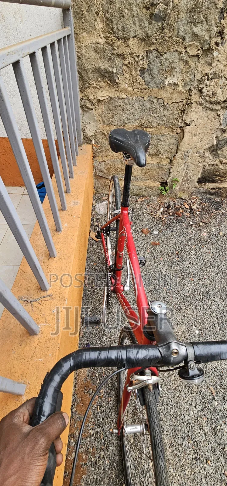 Road Bikes