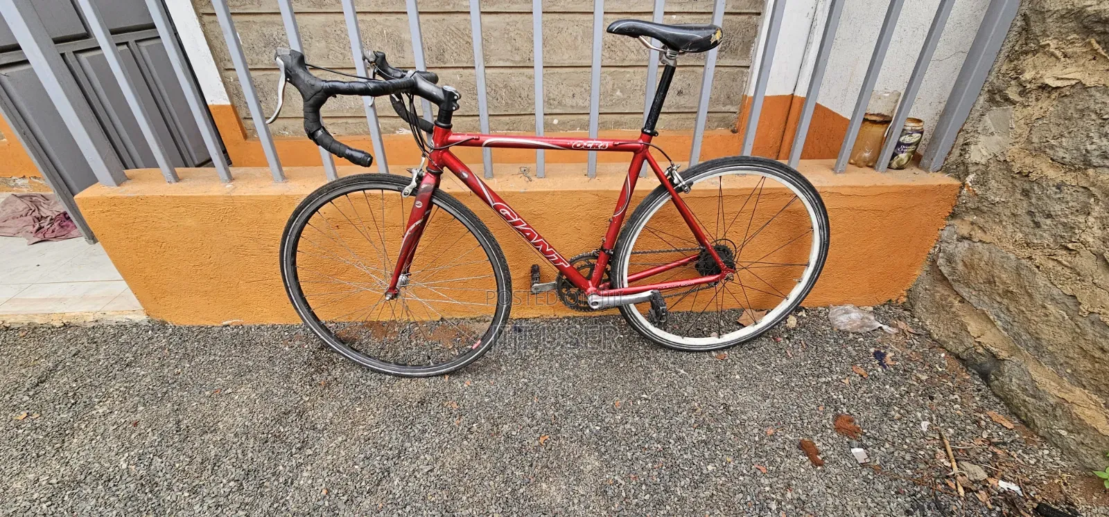 Road Bikes