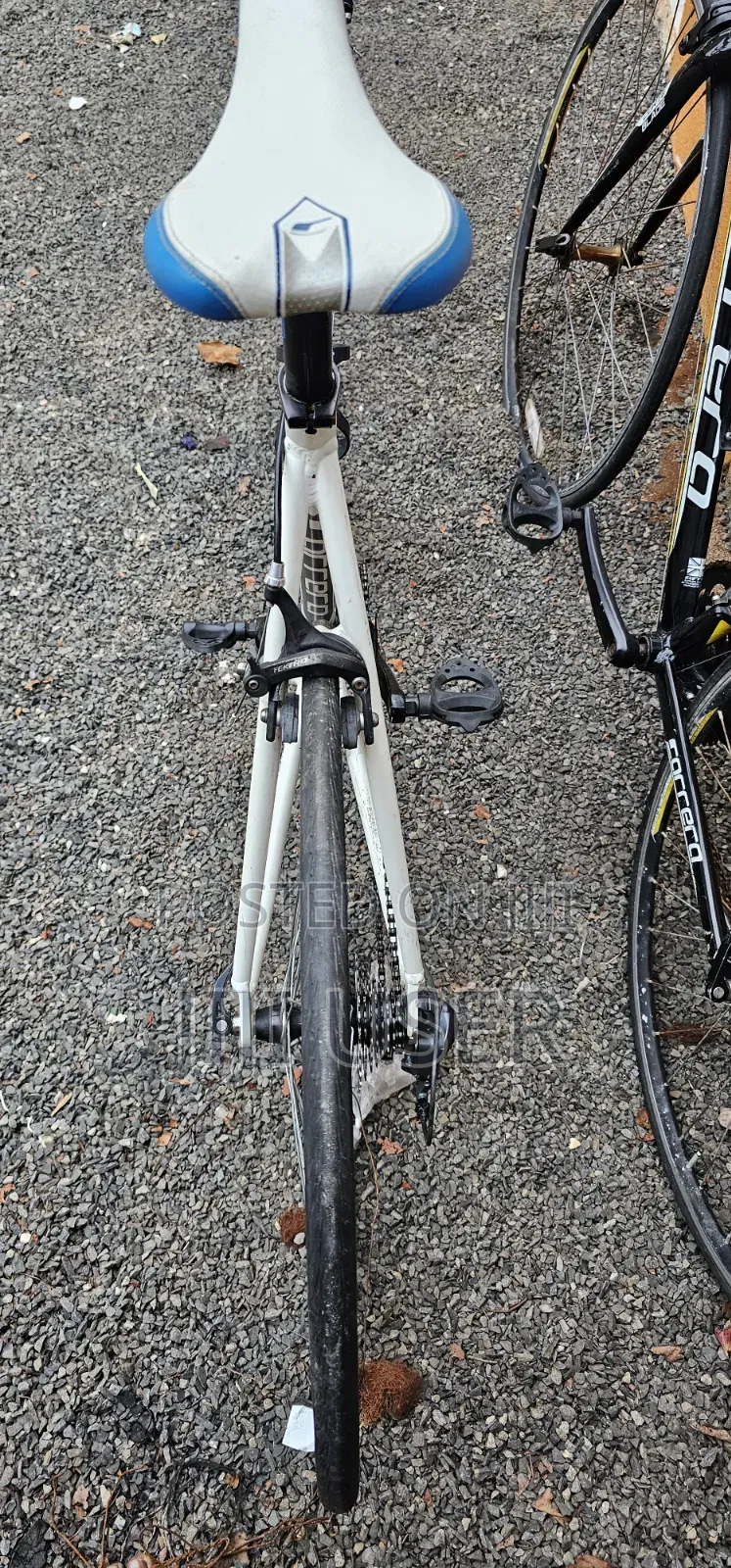 Road Bikes