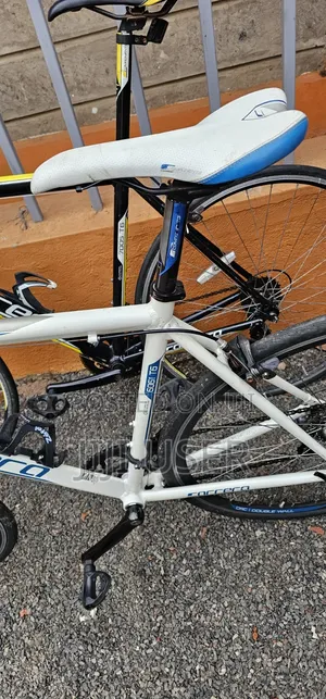 Road Bikes