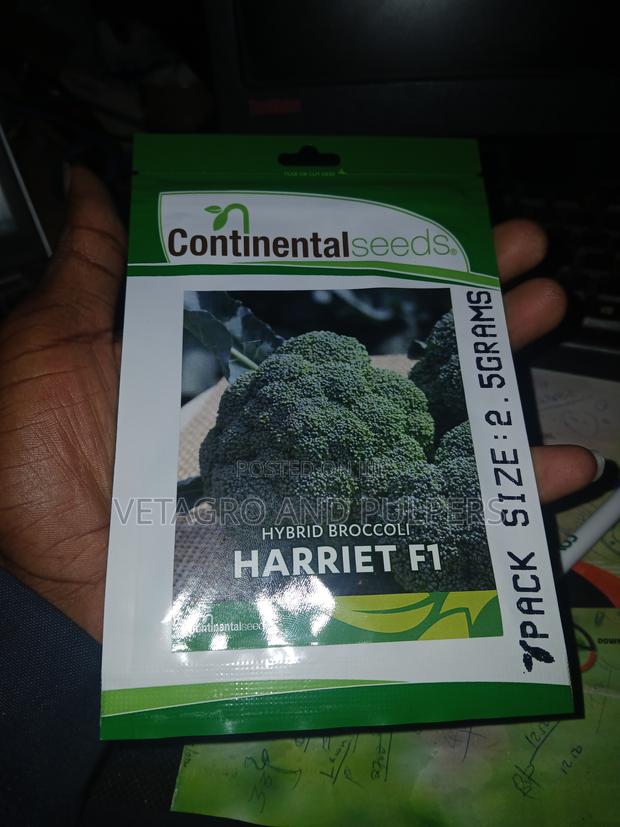 Hybrid Broccoli Harriet F1