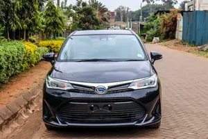 Toyota Corolla Fielder 2018 Black