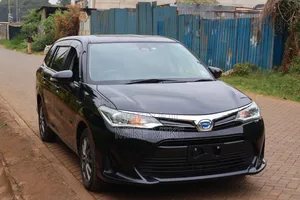 Toyota Corolla Fielder 2018 Black