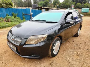 Toyota Corolla Fielder 2007 Black