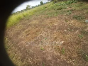 Shamba on Sale
