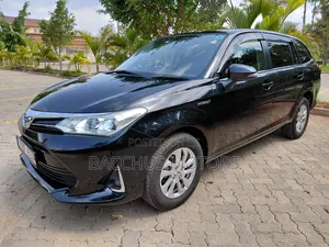 Toyota Corolla Fielder 2018 Black