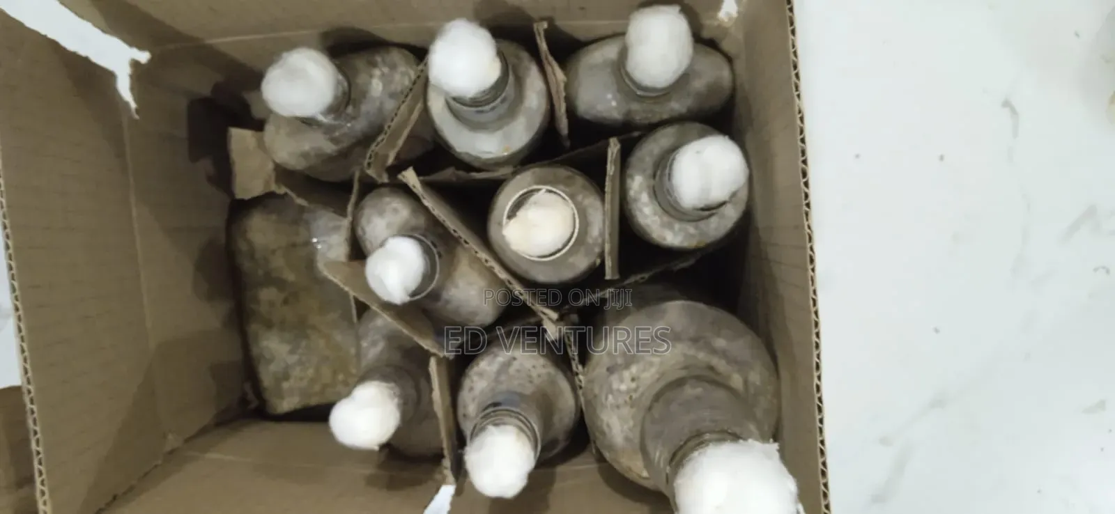 Oyster Mushrooms Spawn and Grow Kits