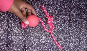 Dog Training Ball on Rope Bite Resistant