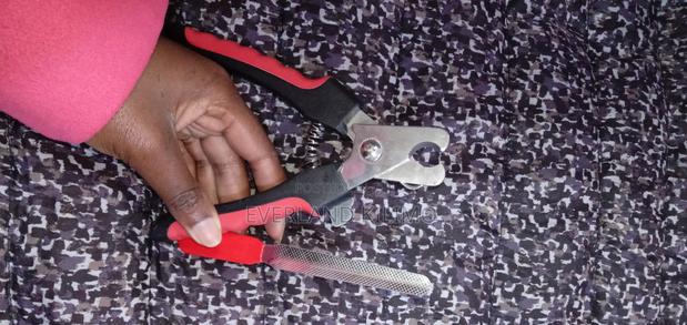 Nail Clipper and a File for Dogs and Cats