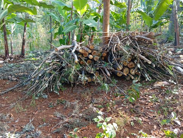 Dry Firewood
