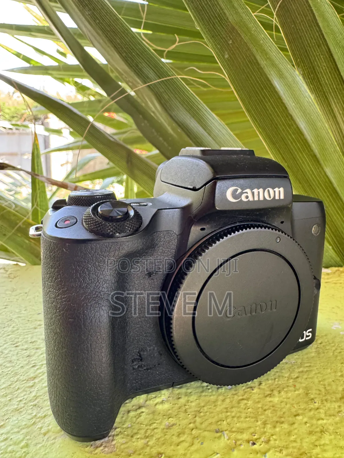 Canon Eos M50 (Mark I).