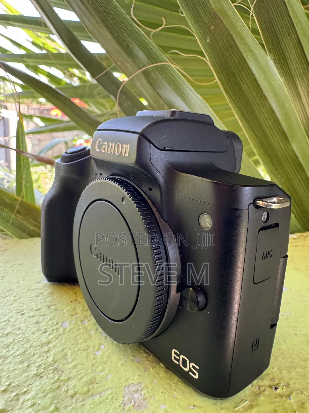 Canon Eos M50 (Mark I).