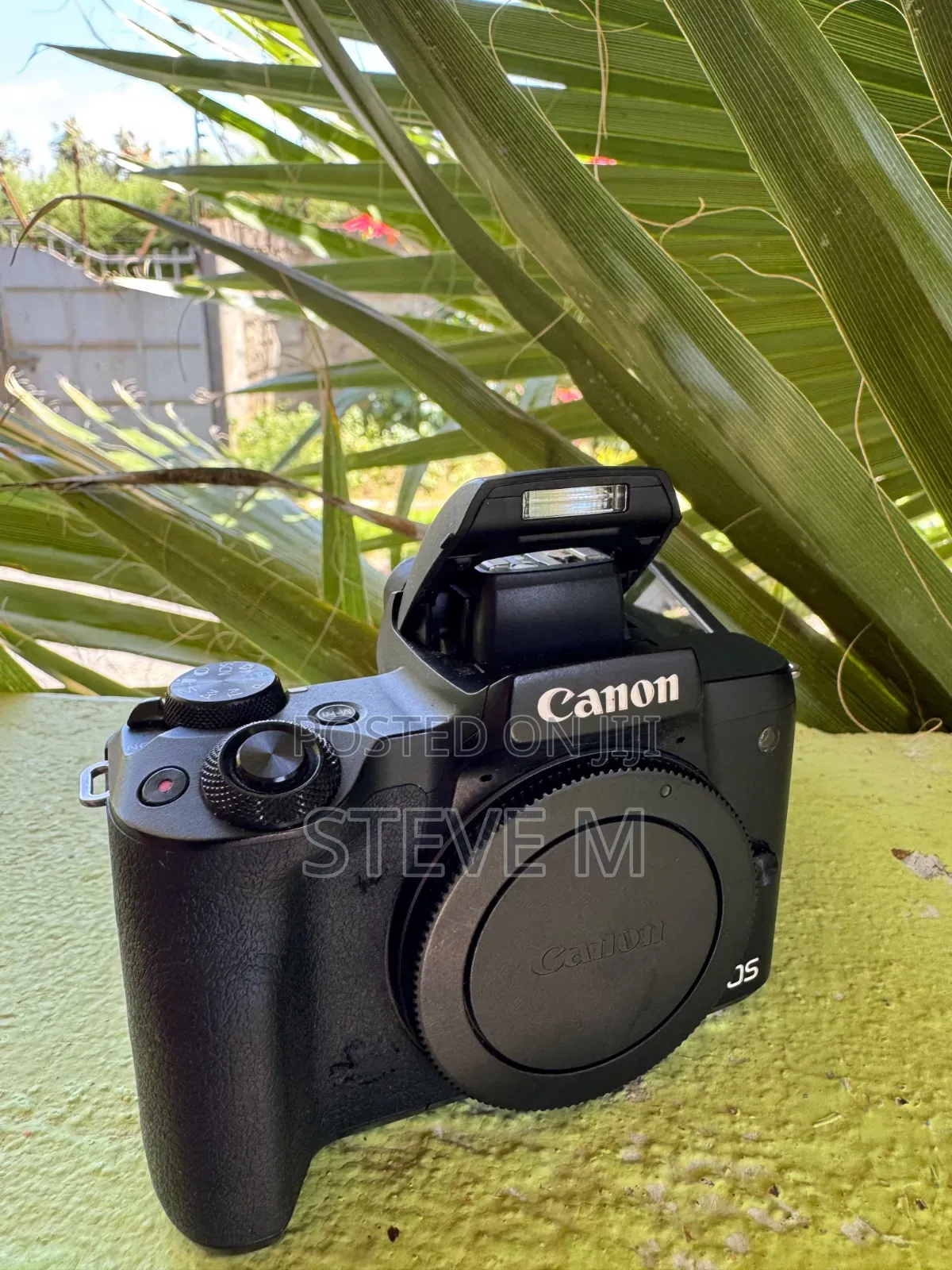 Canon Eos M50 (Mark I).