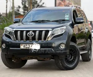 Toyota Land Cruiser 2010 Gray
