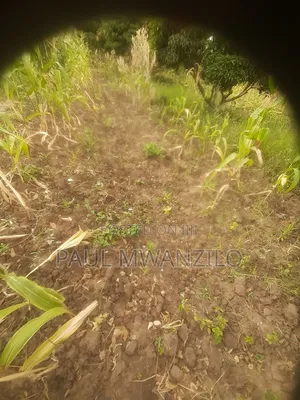 Farm on Sale Ukia Ward