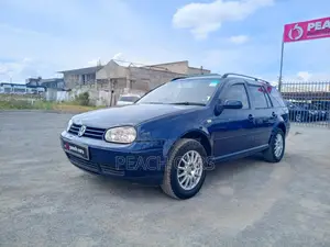 Volkswagen Golf 2005 Blue