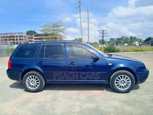 Volkswagen Golf 2005 Blue
