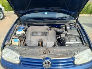 Volkswagen Golf 2005 Blue