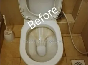 Branchez Waterless: Sofa//Mattress//Carpet//Cleaning and Fumigation