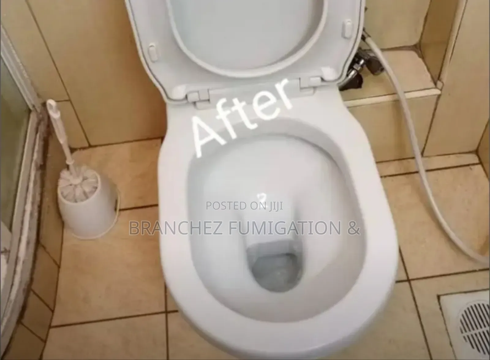 Branchez Waterless: Sofa//Mattress//Carpet//Cleaning and Fumigation
