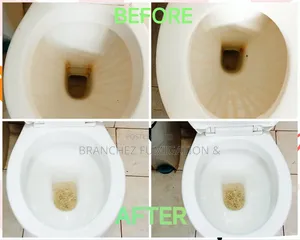 Branchez Waterless: Sofa//Mattress//Carpet//Cleaning and Fumigation