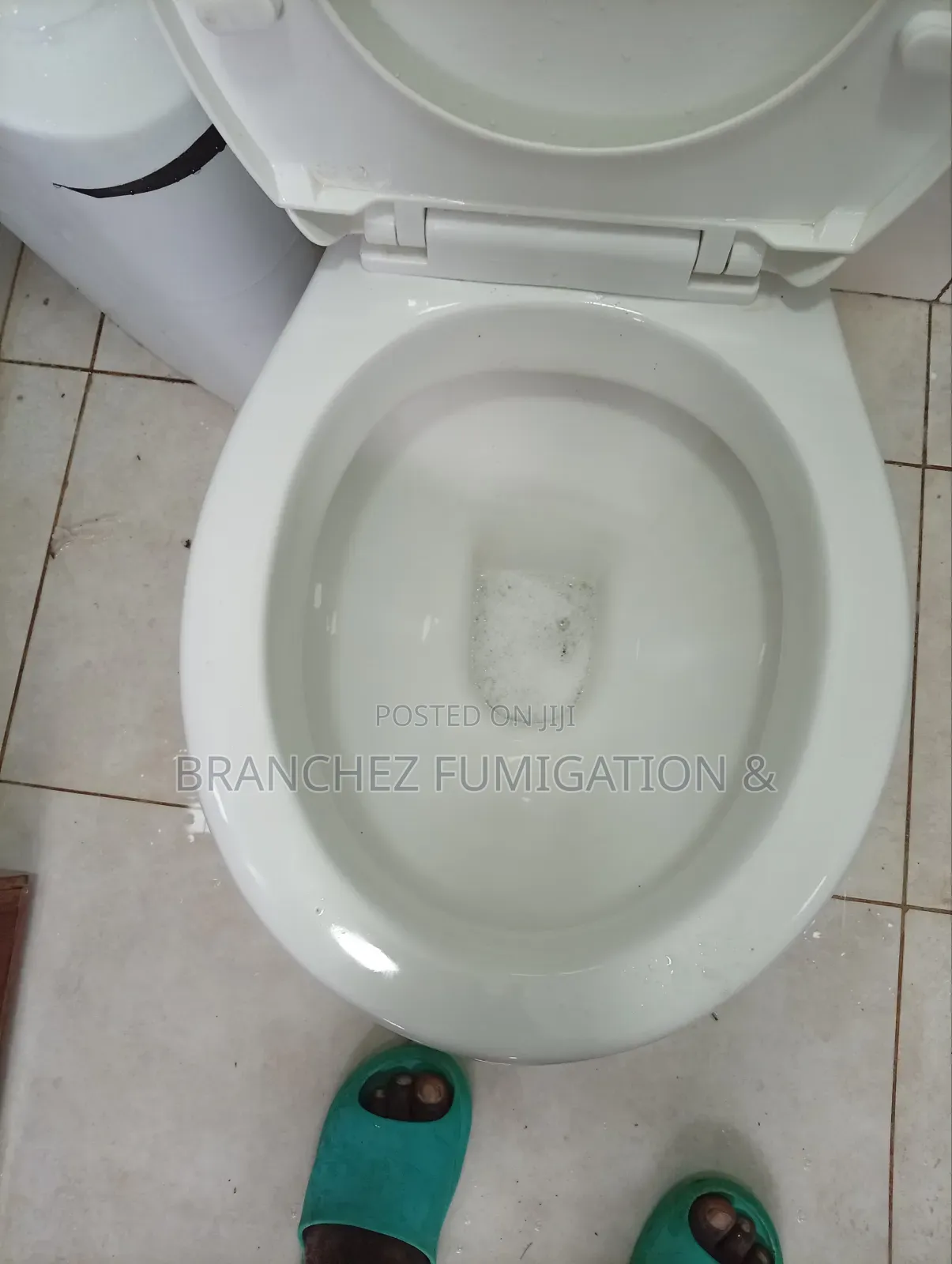 Branchez Waterless: Sofa//Mattress//Carpet//Cleaning and Fumigation