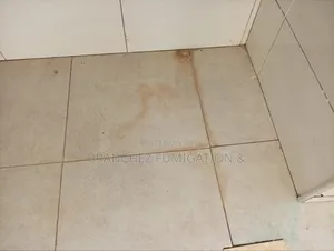 Branchez Waterless: Sofa//Mattress//Carpet//Cleaning and Fumigation