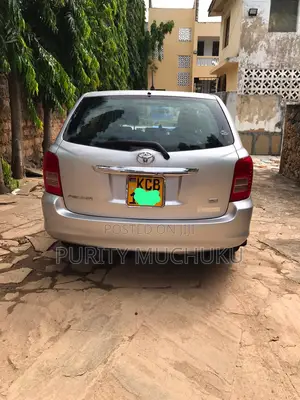 Toyota Corolla Fielder 2007 Silver