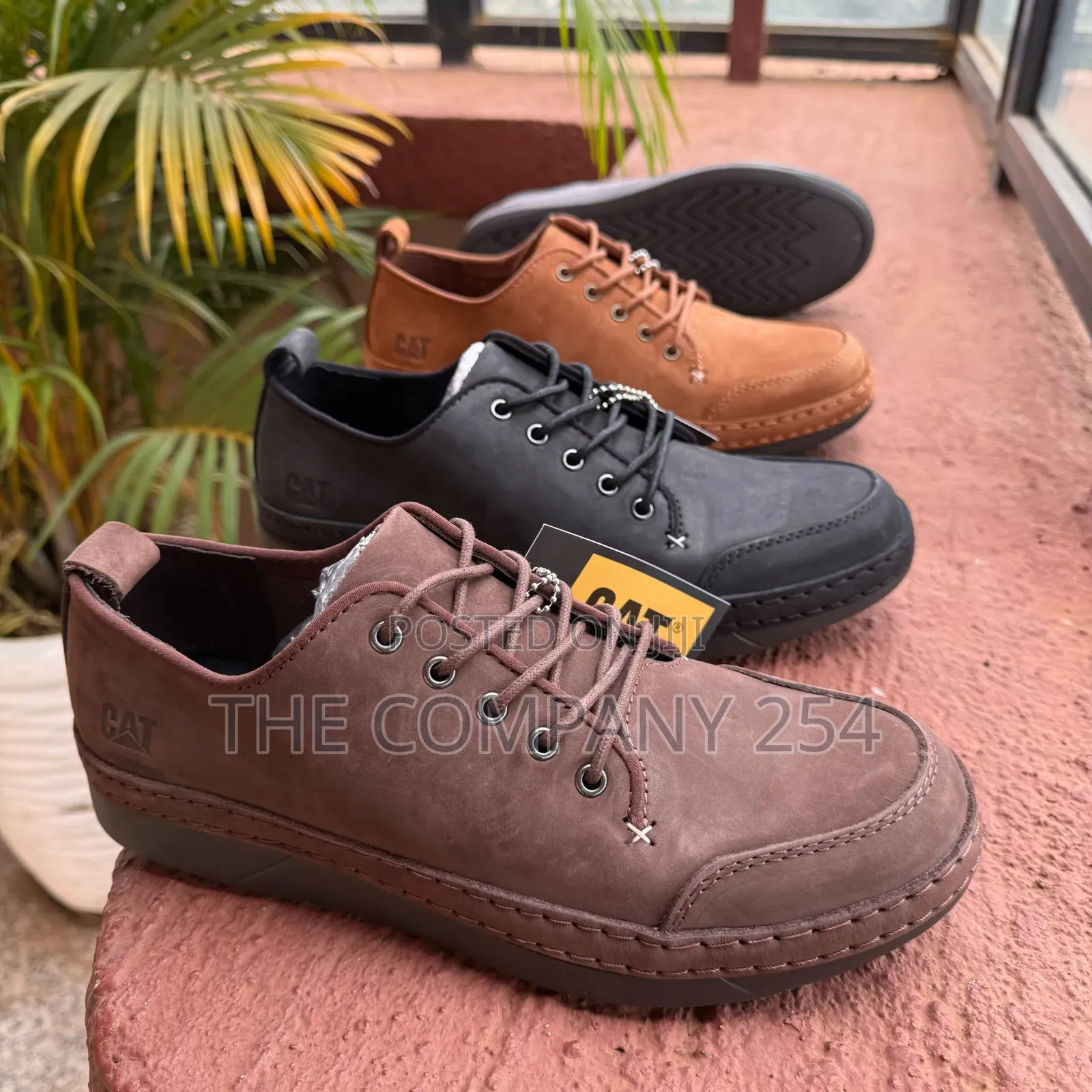 Quality Casual Designer Cat Low Cut Laced With Rubber Sole Shoes