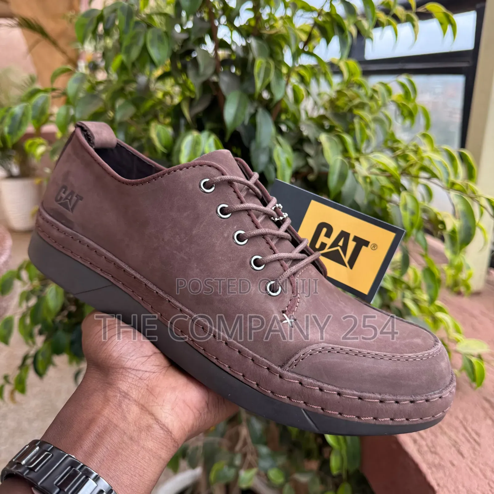 Quality Casual Designer Cat Low Cut Laced With Rubber Sole Shoes