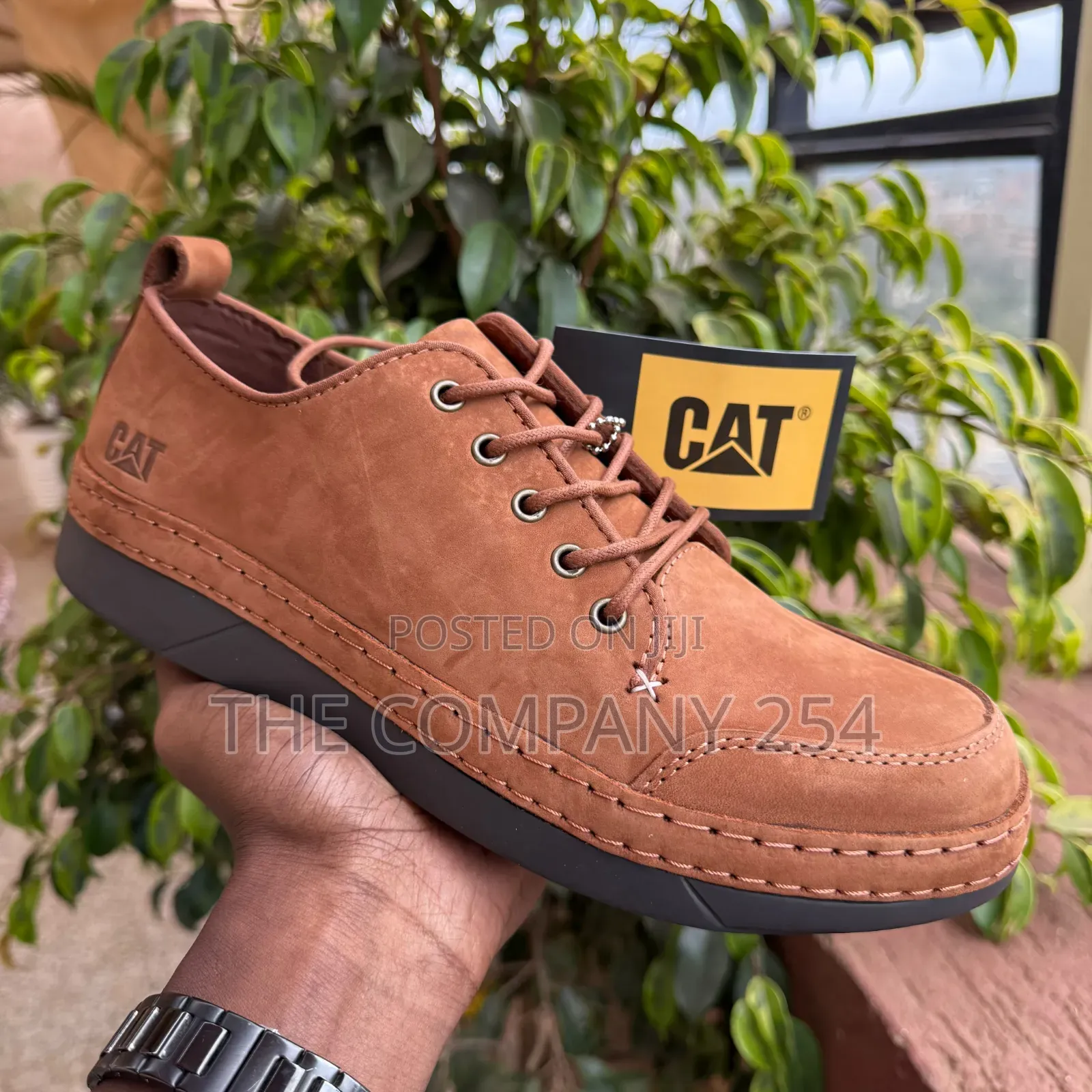 Quality Casual Designer Cat Low Cut Laced With Rubber Sole Shoes