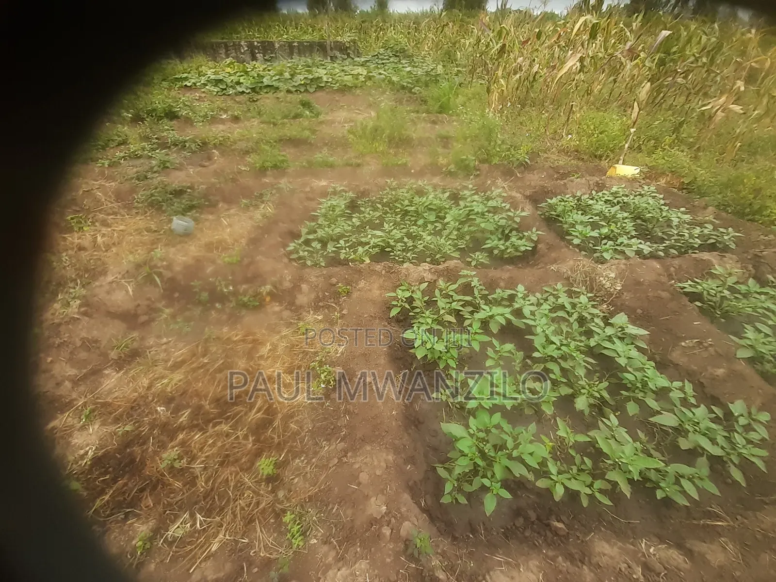 Land on Sale at Makueni County.