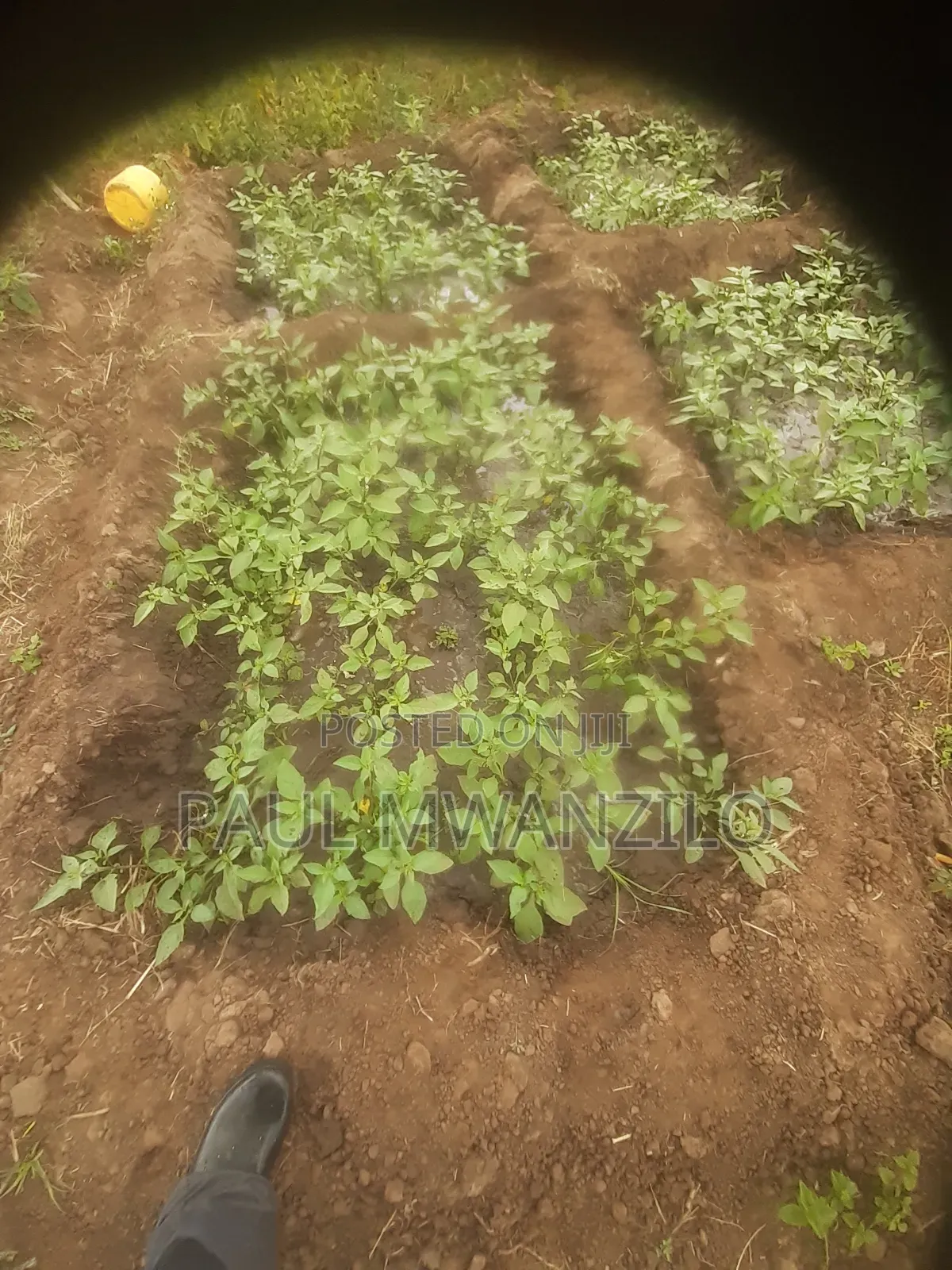 Land on Sale at Makueni County.