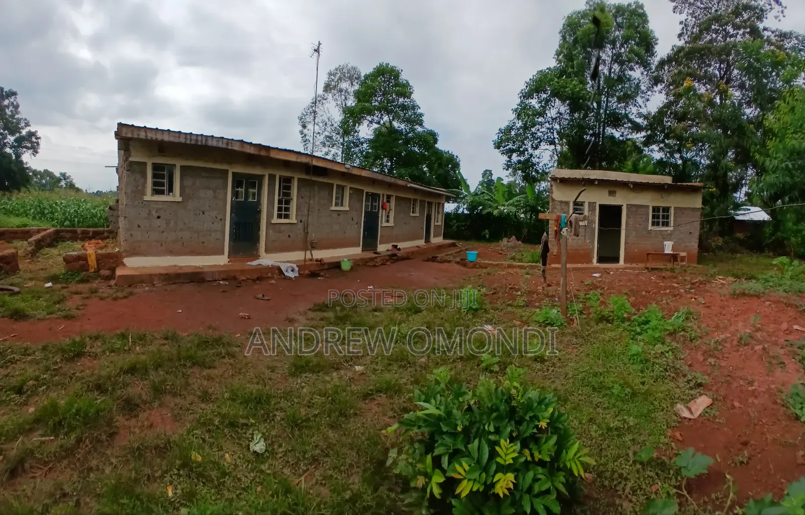 50 by 100 Plot Ready to Build, Electricity and Water on Site