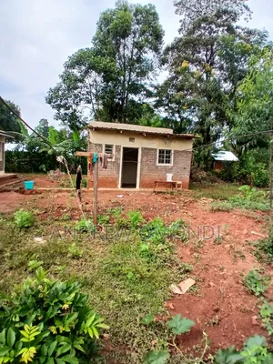 50 by 100 Plot Ready to Build, Electricity and Water on Site